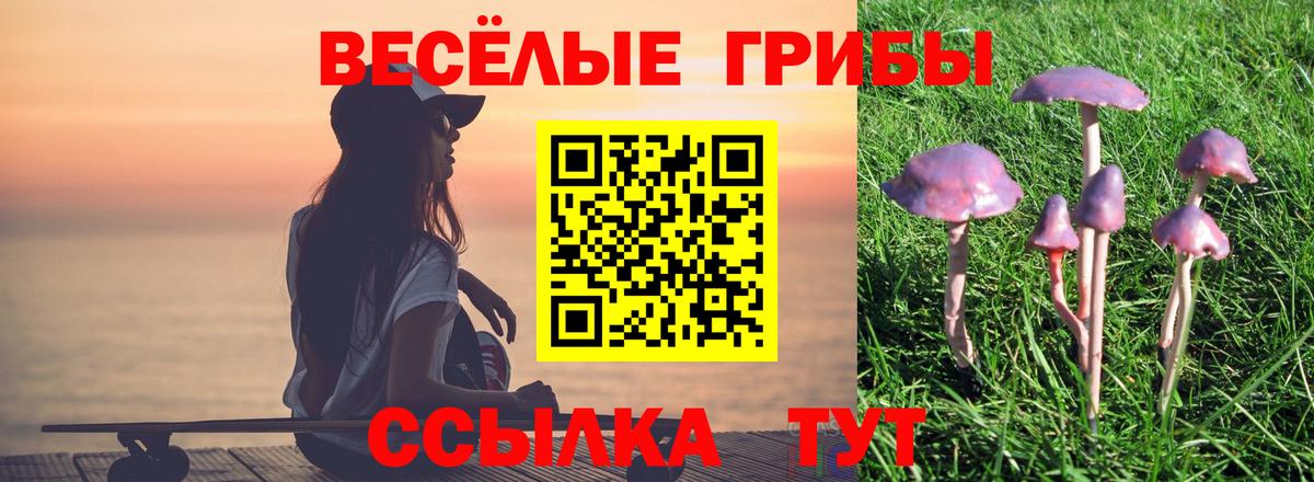 магазин продажи наркотиков  Псилоцибиновые грибы мицелий  Вход с VPN  Галлюциногенные грибы мухоморы  Касимов 